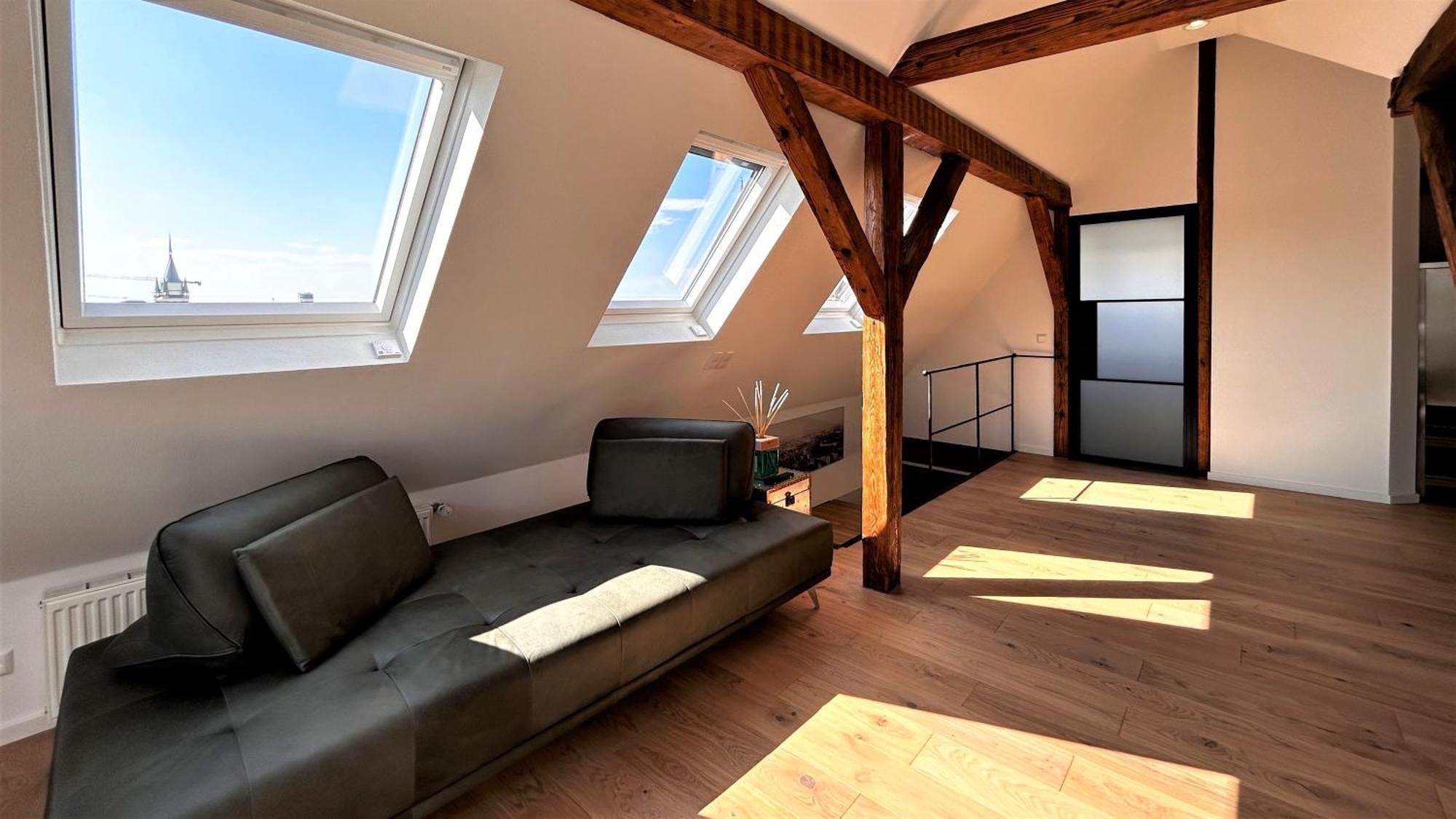 Historical Luxury Homes - Exclusive Selection * Fribourg im Breisgau