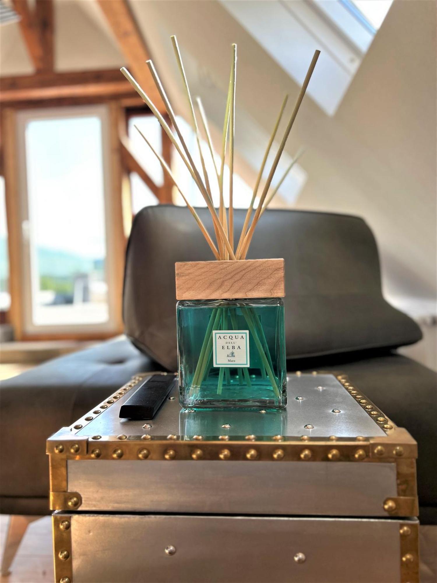 Historical Luxury Homes - Exclusive Selection Freiburg im Breisgau